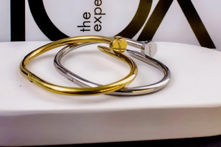 Стальной браслет Картье Гвоздь + Подарок