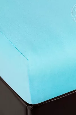 Простыня на резинке "Незабудка" 256 200х200х20 256